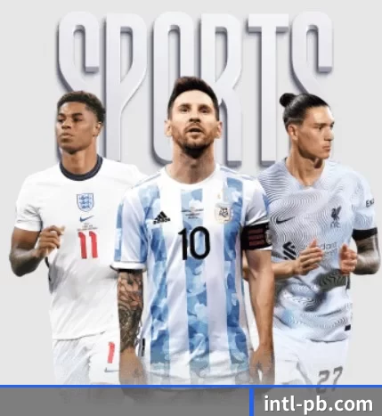 五大服务分区,信息按项目分类